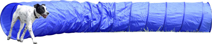 dobar Agility Tunnel